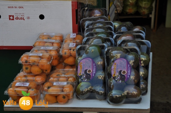 markaz khodare 3 (4).JPG